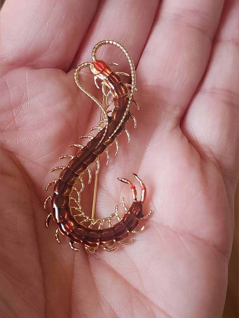 ✨️❣️ Red Centipede Brooch Pin - Picture 5 of 6